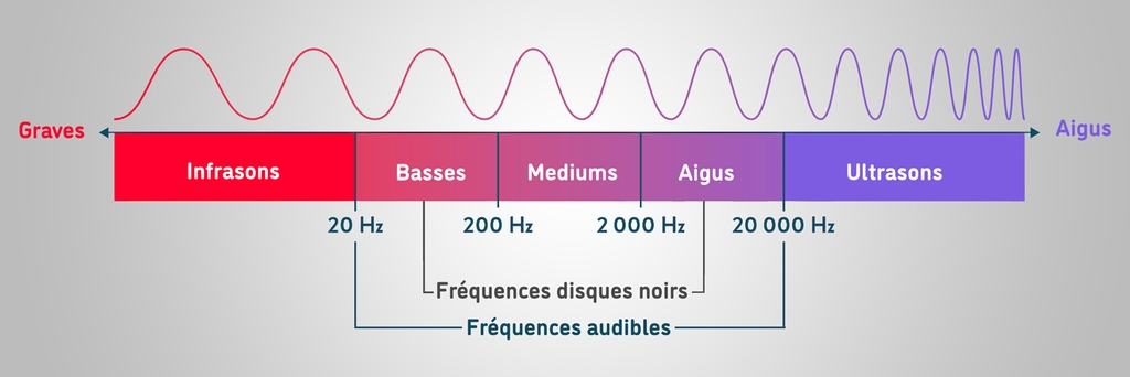 À gauche, les infrasons et à droite, les ultrasons sont les fréquences que ne capte pas l'oreille humaine.