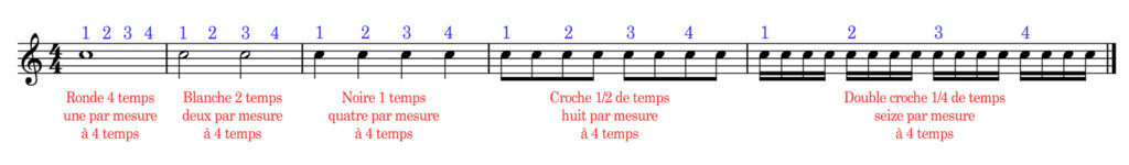 Partition d’une portée permettant de présenter les principales durées des notes de musique. Vous remarquerez que toutes les notes sont sur le même interligne, c’est donc la même note qui est représentée. Seule sa durée change.