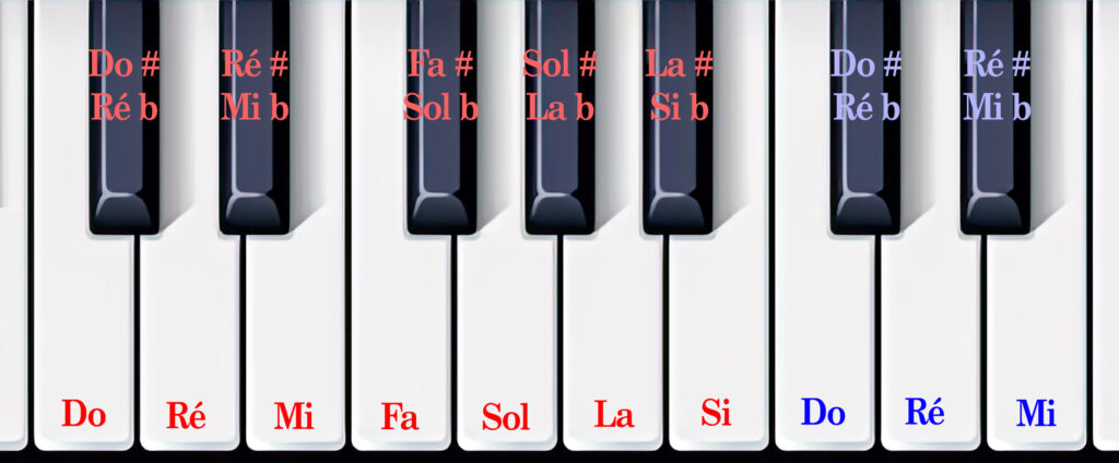 Le clavier du piano est organisé avec des touches blanches et des noires. Les blanches portent les notes Do, Ré… Les noires portent des altérations, des notes, un peu plus aiguës ou graves que les touches blanches entre lesquelles elles s’intercalent.
